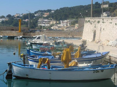 Tricase Porto - Uno scorcio del porto Tricase Porto - Uno scorcio del porto